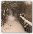 Francescas sous la neige - hiver 2012 - un petit chemin