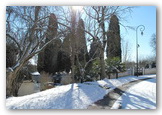 Francescas sous la neige - hiver 2012 - boulevard circulaire au cimetière
