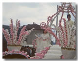 cavalcade entre 1975-1978