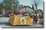 cavalcade 1982