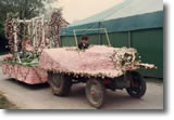 cavalcade 1982