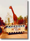 cavalcade 1985