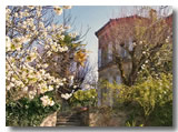 Le presbytère au printemps
