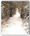 Francescas sous la neige - hiver 2012 - un petit chemin