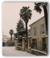 Francescas sous la neige - hiver 2012 - la rue d'Arragegat