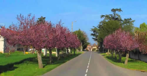 entr&eacute;e du village
