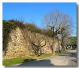 L'enceinte du village Gazaupouy